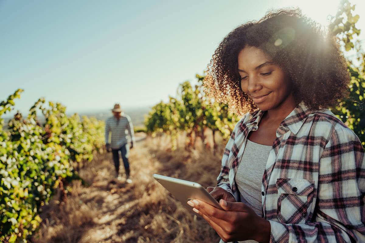 Agricultural employee uses tablet on farm